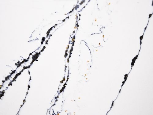 aqua white quartz countertops seattle