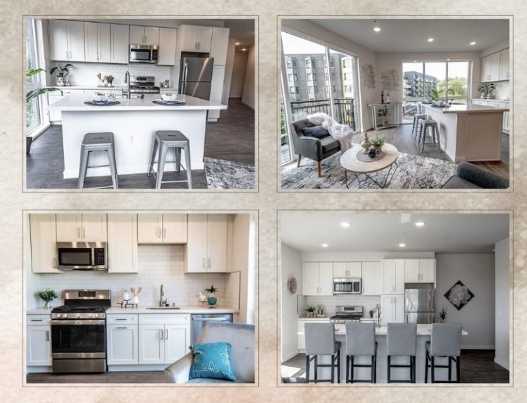 contractors cabinets modern kitchen monarc seattle